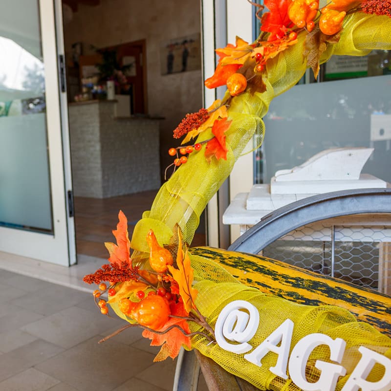 Agriturismo Agriverde contatti